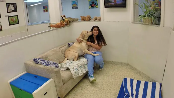 Hewlett Animal Hospital & Pet Resort 12