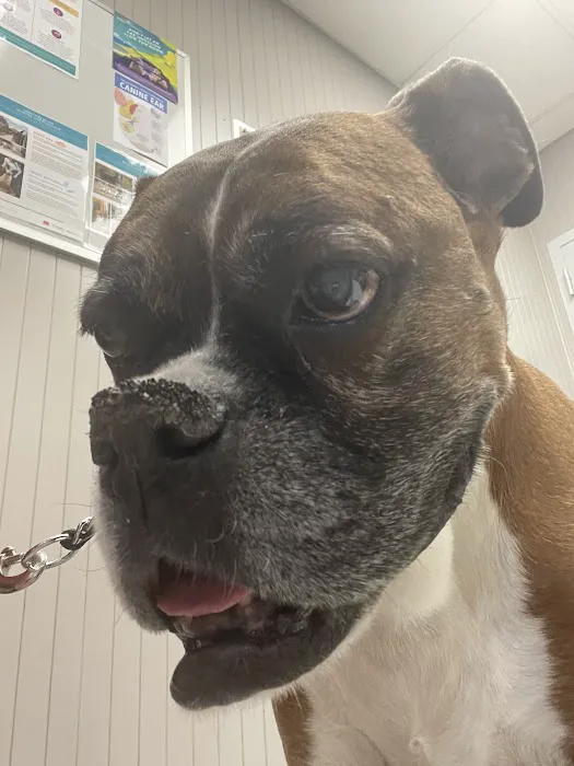 Hilton Hospital for Animals 5