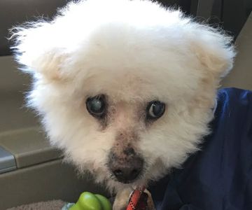East Rockaway Veterinary Hospital