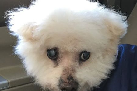 East Rockaway Veterinary Hospital
