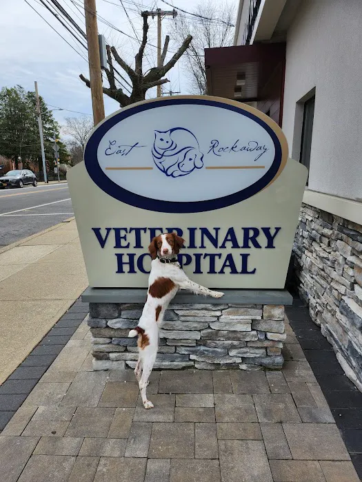 East Rockaway Veterinary Hospital 12
