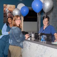 Premier Veterinary Medical Group - Rockville Centre ico