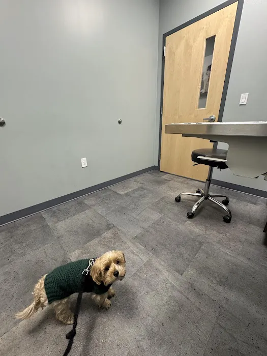 Premier Veterinary Medical Group - Rockville Centre 12