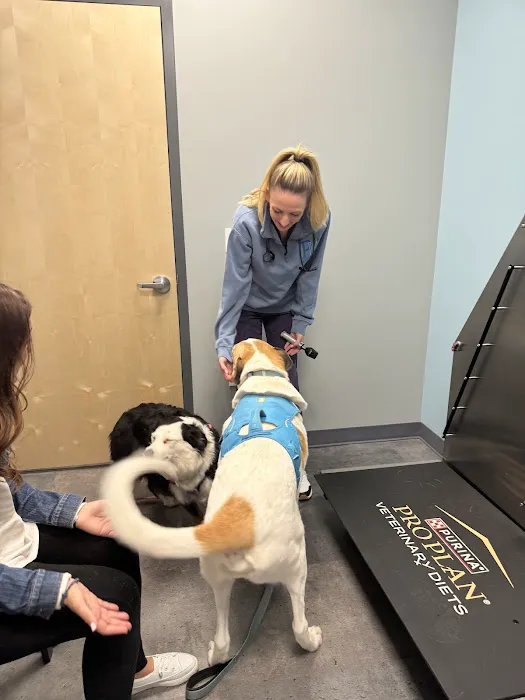 Premier Veterinary Medical Group - Rockville Centre 12