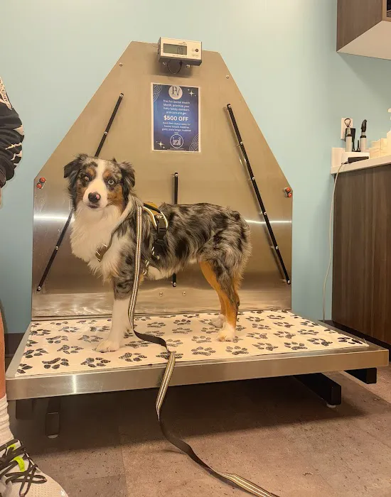 Premier Veterinary Medical Group - Rockville Centre 12