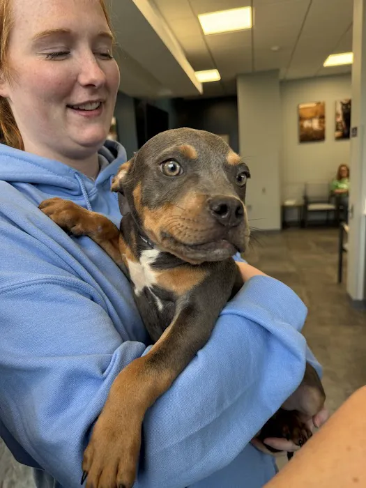 Premier Veterinary Medical Group - Rockville Centre 12