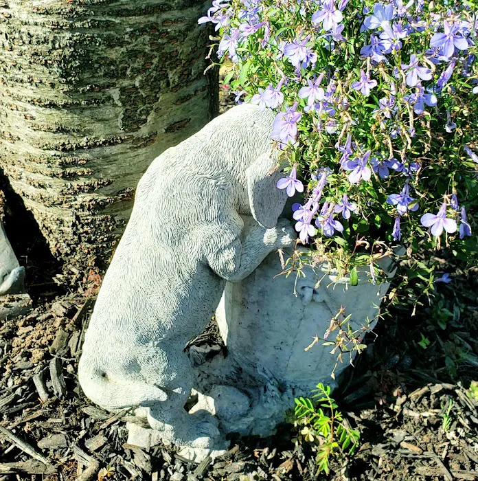 Terry Animal Hospital 12
