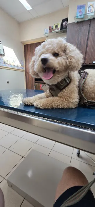 Terry Animal Hospital 12
