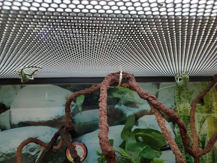 Petco 8