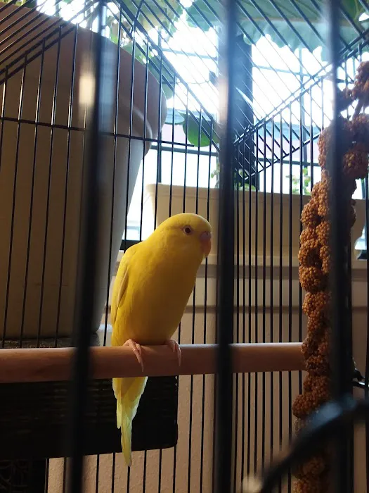 Petco 1