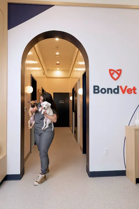 Bond Vet - Garden City 3