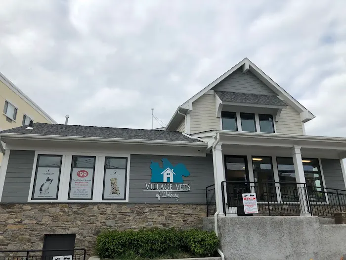 Veterinary Care Group - Westbury 2