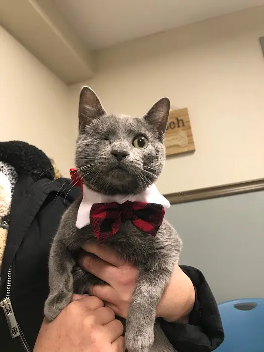 Veterinary Care Group - Westbury 4
