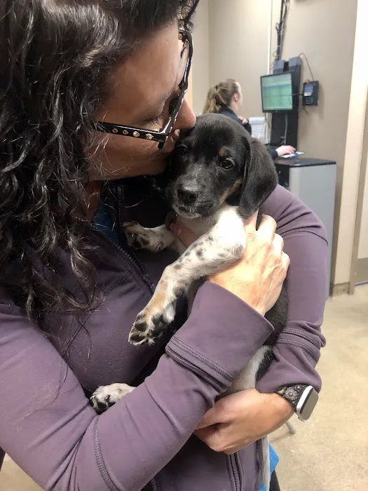 Animal Hospital of Brooklyn 1