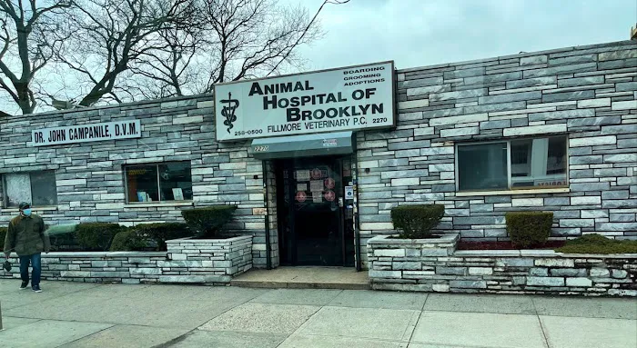 Animal Hospital of Brooklyn 10