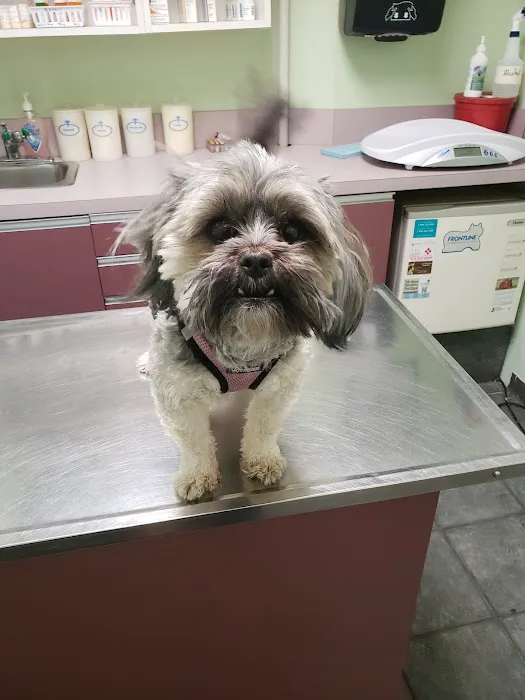 Animal Clinic of Marine Park 2
