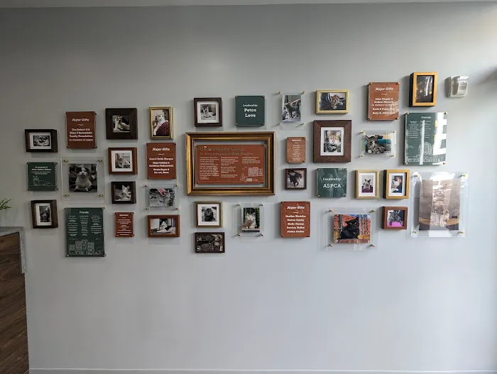 Flatbush Veterinary Clinic 9