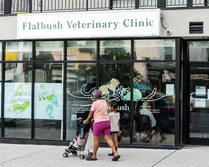 Flatbush Veterinary Clinic 10