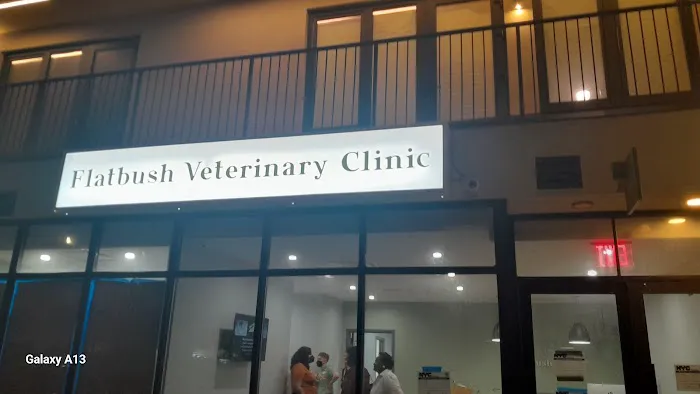 Flatbush Veterinary Clinic 8