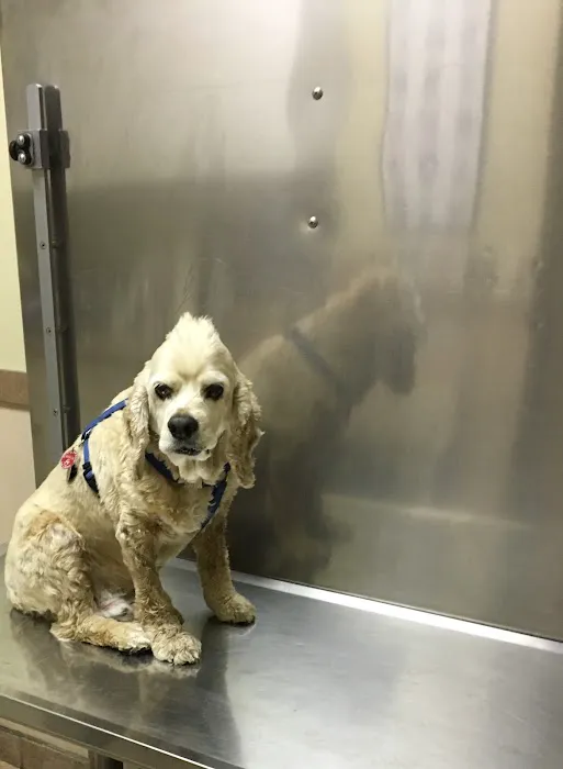 Marine Park Veterinary Group 6
