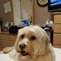 Marine Park Veterinary Group ico