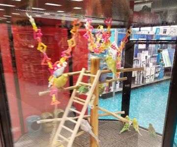 Petco
