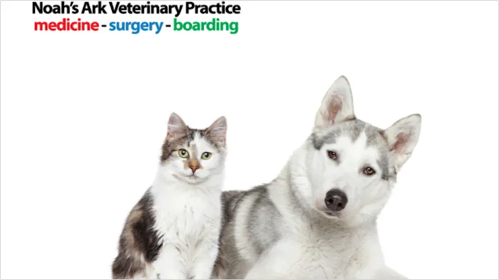 Noah's Ark Veterinary Practice 9