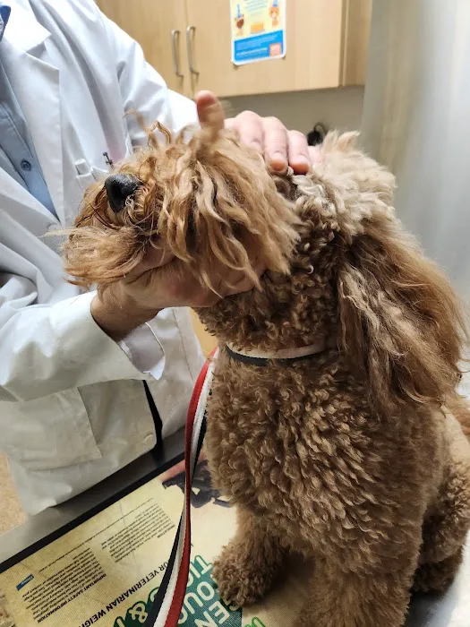 Noah's Ark Veterinary Practice 1