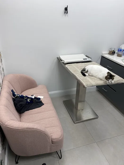 Ivy Pets - Midwood 8