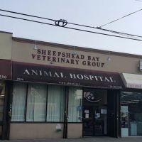 Sheepshead Bay Veterinary Group ico