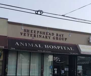 Sheepshead Bay Veterinary Group