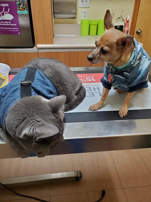 Sheepshead Bay Veterinary Group 8
