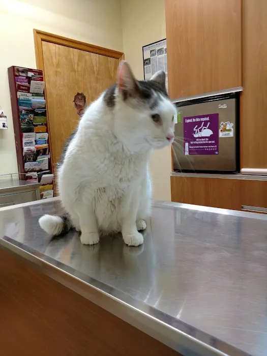 Sheepshead Bay Veterinary Group 5