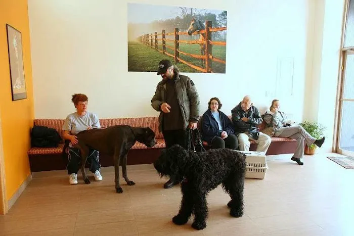 Sheepshead Bay Veterinary Group 9