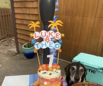 Hip Hound Barkery