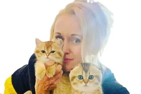 Scottish kittens cattery