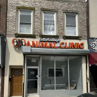 South Brooklyn Animal Clinic ico