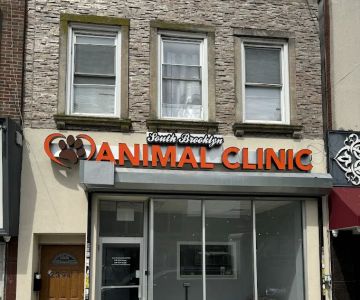 South Brooklyn Animal Clinic