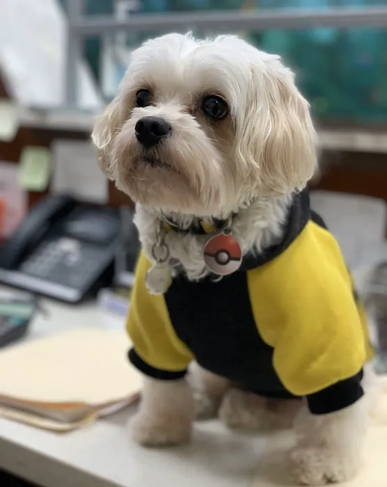 Oceanside Animal Clinic 12