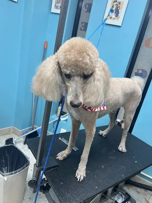 Oceanside Animal Clinic 12