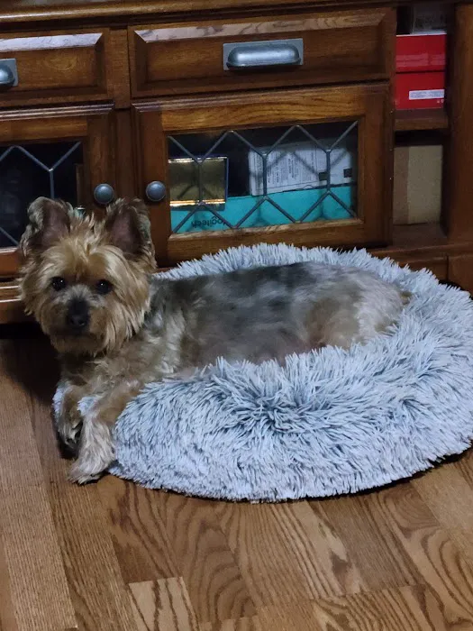 Banfield Pet Hospital 12
