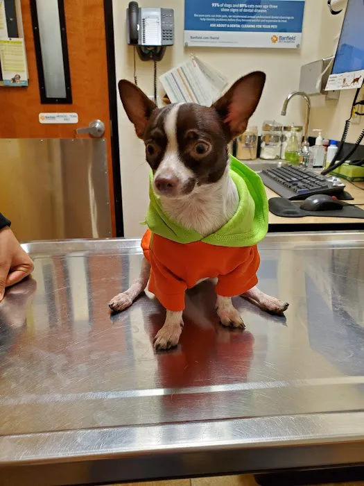 Banfield Pet Hospital 12
