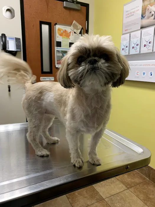 Banfield Pet Hospital 12