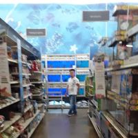 Banfield Pet Hospital ico