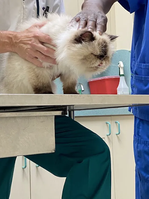 Broadway Animal Hospital of Riverdale 6
