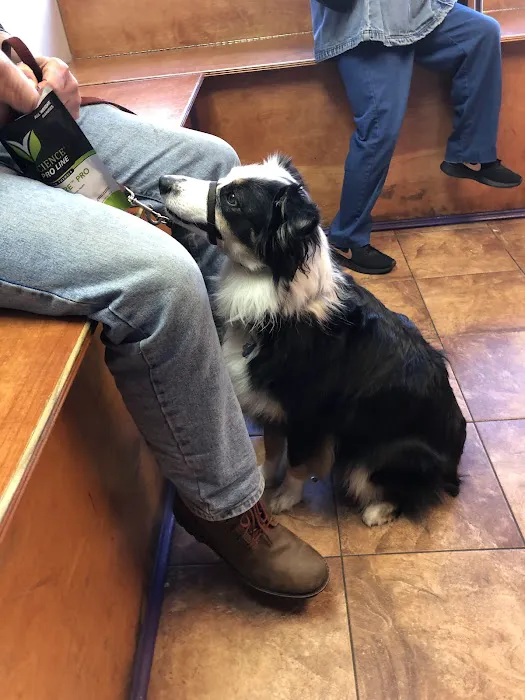 Inwood Animal Clinic 5