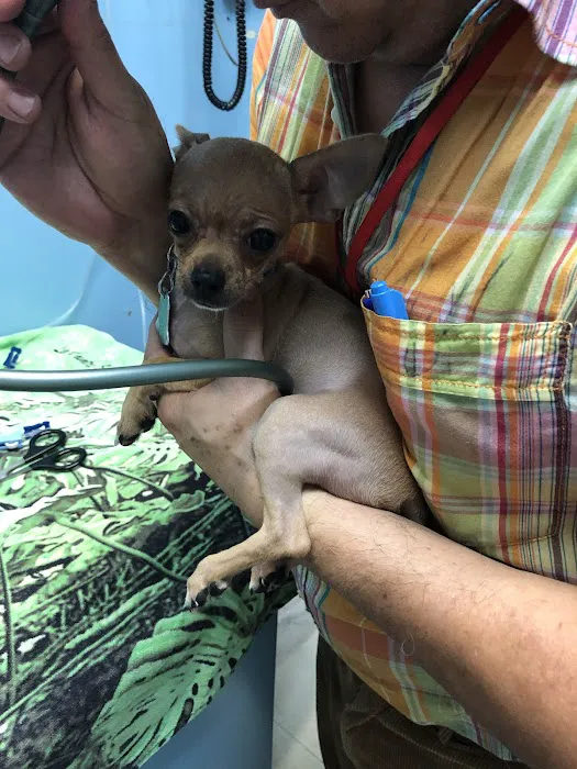 Riverdale Animal Hospital 8