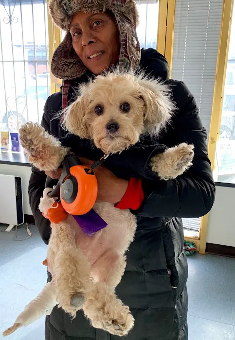 Riverdale Animal Hospital 7