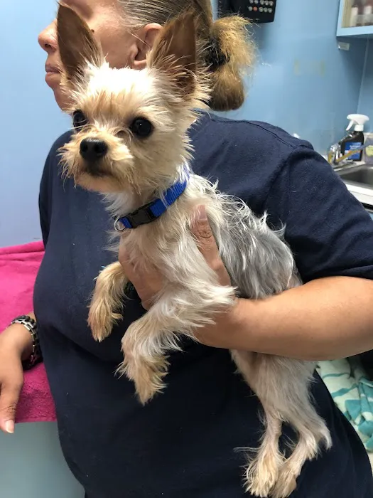 Riverdale Animal Hospital 1