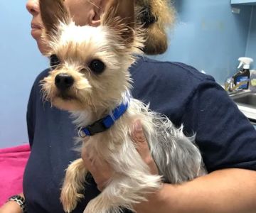 Riverdale Animal Hospital